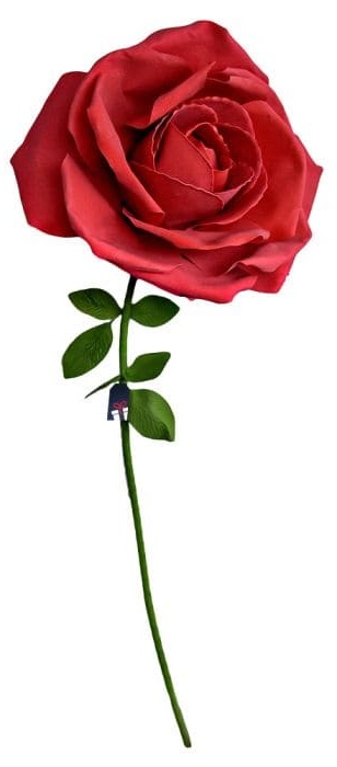 XXL large rose - Mawar sebagai hadiah untuk seorang wanita