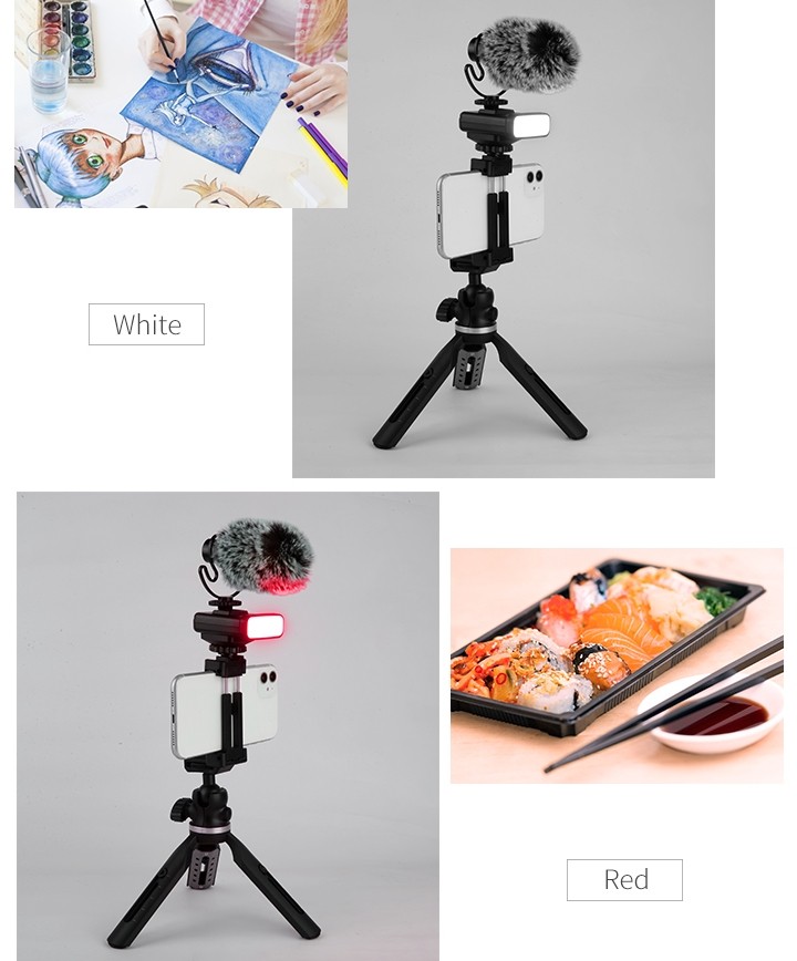 tripod untuk telefon bimbit (pemegang selfie) + mikrofon dan cahaya