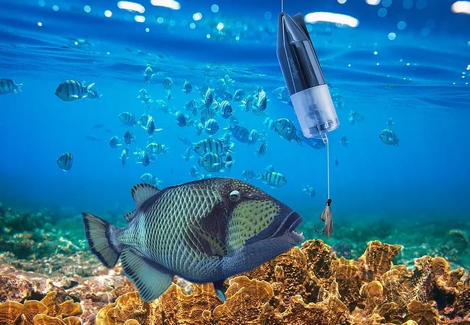 kamera ikan bawah air