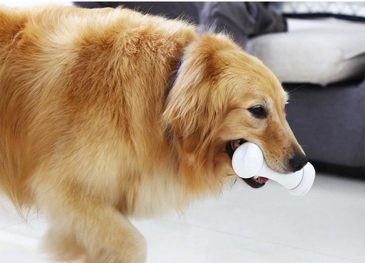 mainan tulang pintar untuk anjing jahat